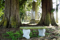 Ethel Greenwood Cemetery