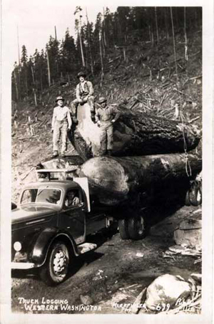 Truck Logging