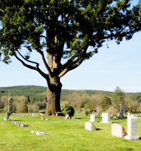 Shoestring Cemetery